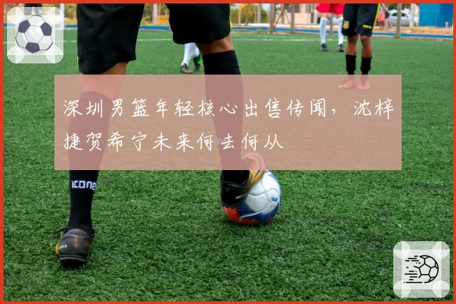 深圳男篮年轻核心出售传闻,沈梓捷贺希宁未来何去何从