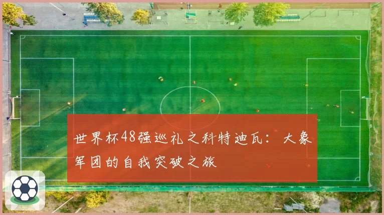 世界杯48强巡礼之科特迪瓦:大象军团的自我突破之旅