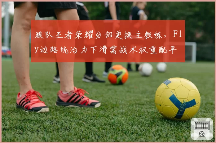 狼队王者荣耀分部更换主教练，Fly边路统治力下滑需战术权重配平